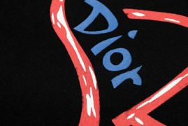 Picture of Dior T Shirts Short _SKUDiorS-XLautCH1333949